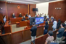 案值736亿元！善林金融案宣判，两首犯被判无期图片