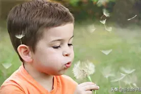 孩子常常是油耳屎？长大后可能有腋臭图片