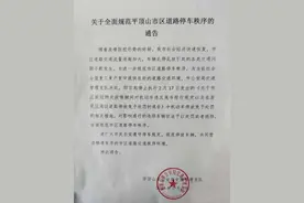 违规停车？罚！平顶山5月5日起开始全面规范市区道路停车秩序图片
