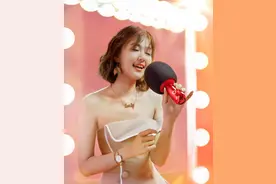 唱吧麦克风不会唱歌用它唱都好听，《向往的生活》同款麦克风图片