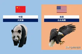 60秒认识世界各国标志性动物图片