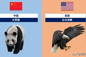 60秒认识世界各国标志性动物图片