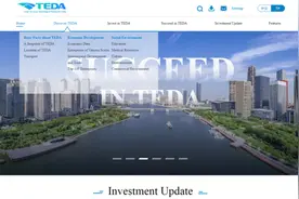 向全世界Say Hi ！全新泰达英文官方网站重磅上线！图片