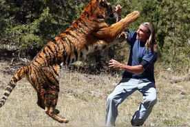 遇到野兽咋办？拳打恶狼，脚踢猛虎？抱歉，人徒手连野狗都打不赢图片