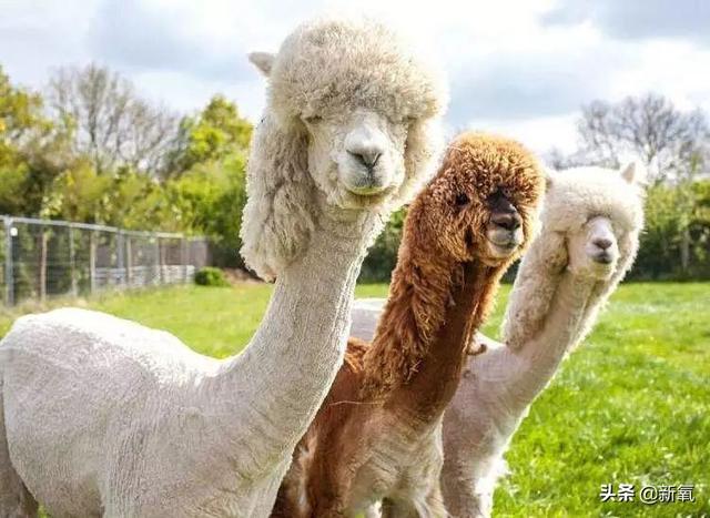 网红服装店的面料都是“包装后”的劣质货？你到底被坑了多少钱！