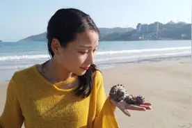 南澳岛旅游有什么好玩？游艇快艇摩托艇渔船出海观光捕鱼海钓浮潜图片