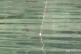四种走水程度衍生四种钓法，最后一种虽不常见但很有效图片