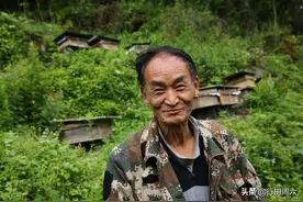 周正龙13年前拍“老虎”成笑话，出狱后藏入深山，看活成啥样图片