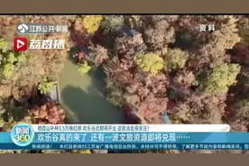 南京文旅新地标！欢乐谷真的来了，更多文旅资源即将兑现图片