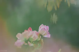 老年再见初恋是啥感觉？68岁大爷感慨：45年的光阴，早已物是人非图片