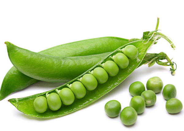 高中生物学习经验分享