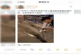 "南湖大桥能钓上来大鲤子！" 有也不行，安全和鱼谁重要？图片