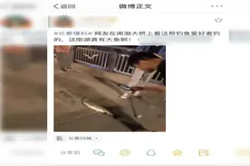 "南湖大桥能钓上来大鲤子！" 有也不行，安全和鱼谁重要？图片