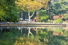 武汉解放公园的秋天真美，色彩斑斓如一幅油画图片