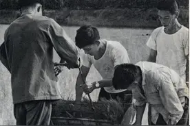 “泥腿子”造出插秧机 | 南湖70型小苗带土插秧机的诞生图片