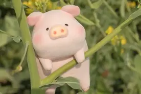 任何东西，只要太深，就是一把刀图片