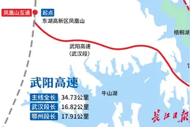 武阳高速武汉段年底基本建成，武汉黄石南昌之间将3小时通达图片