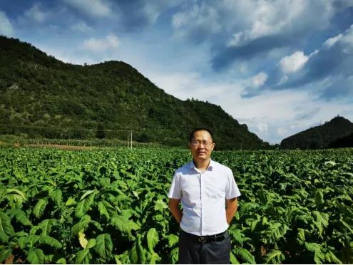 畜禽养殖场固体粪便处理工艺知多少？快看看哪些适合你的场