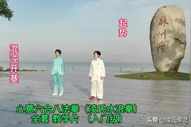 凌氏拳艺首次发布心意六合八法拳（水浪拳）全套教学片（入门级）图片