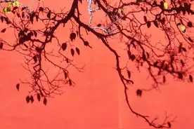学做一个倾听者图片