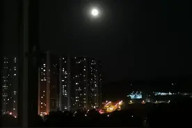 新手妈妈在月子里踩过的坑图片