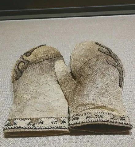 怎样泡发干鱼皮 怎么泡发干鱼皮