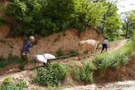 河南大山密林发现世外桃源，2户人家在此生活过百年，啥情况图片
