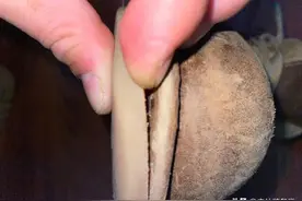 名牌粉碎机：对Zamberlan Z85的挪威缝有什么误解图片