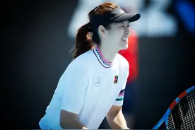 回顾|李娜职业生涯十大高光时刻图片