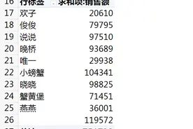 excel如何去掉数据透视表中因数据源带有空格而出现的（空白）字样？视频封面