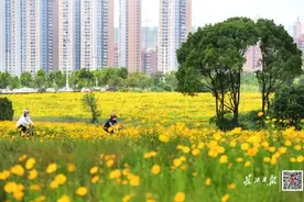 求知一席话 | 城市是生命体有机体而不是增长机器图片