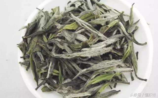 白茶的“灵魂”是什么？它主宰白茶的品质