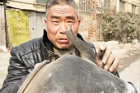 农村六十岁老大爷赶集换壶底，换一个多少钱？听听贵不贵？视频封面