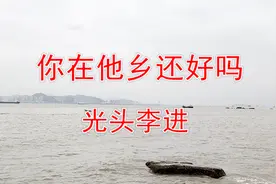 光头李进一首《你在他乡还好吗》经典老歌视频封面