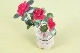 用饮料瓶自制漂亮花瓶，简单又实用视频封面