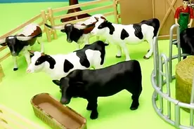 奶牛、猪各种家禽动物模型 仿真农场过家家玩具视频封面