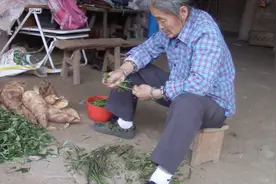这才是最好吃的蕨菜，农村奶奶这做法，一般人真没吃过视频封面