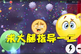 球球大作战：玩极限大逃杀总被吃掉，大腿们在哪里，请进来说话！视频封面