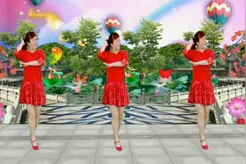 怀旧经典舞曲：《兰花草》我从山中来 带着兰花草视频封面
