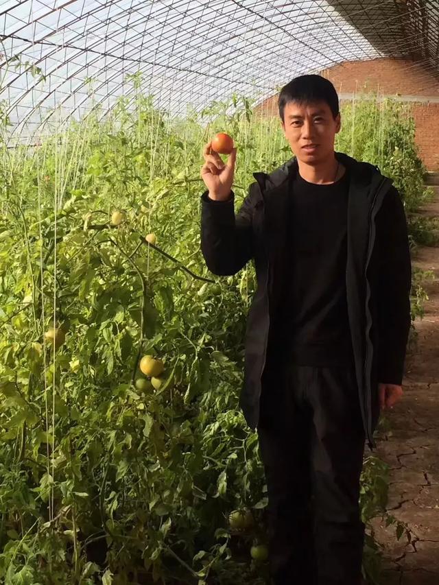 春风盎然，扑鼻草莓香