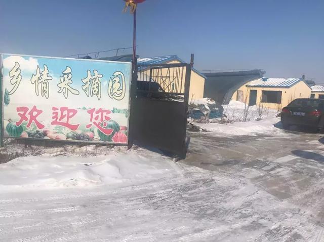 春风盎然，扑鼻草莓香