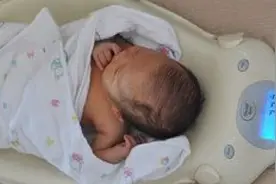 宝妈体重直系胎儿生长发育的指数，这个体重的父母就偷着乐吧！视频封面