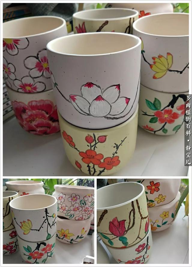 多肉植物和花盆简笔画大全(花盆简笔画图片大全简单好看)-措必培