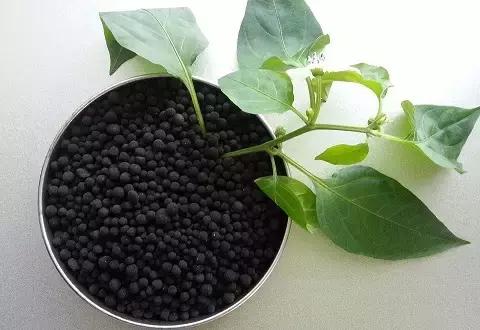 柑橘种植少不了有机肥,今天带你重新认识一下!