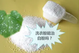 洗衣粉，洗洁精用在蔬菜种植上，大伙觉得这方法可行吗？视频封面