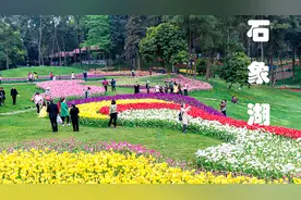 成都市蒲江县《石象湖》看花海游湖   现在走三饶过路费只要10元视频封面