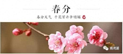 河南康辉国际旅行社(郑州旅游团报价查询)