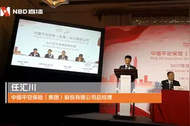 中国平安集团总经理任汇川：平安好医生已启动上市计划视频封面