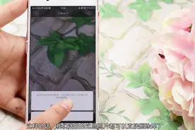 用OPPO手机拍照不清晰，那是没打开这个开关，最好现在打开试试！视频封面