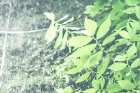 PS软件基础/PS界面怎么设置？点进来教你认识工作区与面板视频封面